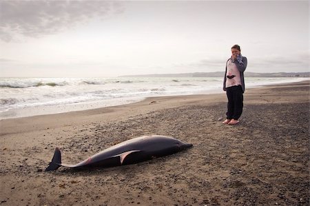 simsearch:400-04509148,k - A young lady looks at a dolphin found washed up on Haumoana Beach, Hawkes Bay, New Zealand Photographie de stock - Aubaine LD & Abonnement, Code: 400-05290898