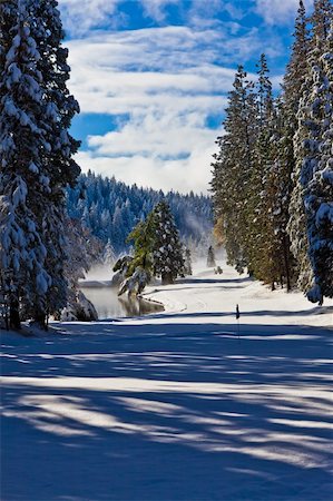 Vertical image of a fairway, from green to tee box, covered in snow with blue skys and light clouds. Stock Photo - Budget Royalty-Free & Subscription, Code: 400-05291110