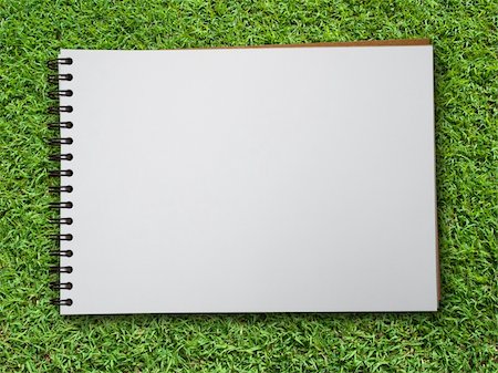 White blank note book on green grass background Stock Photo - Budget Royalty-Free & Subscription, Code: 400-05291752