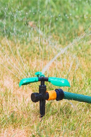 Close up of lawn sprinkler in hot summer day Stock Photo - Budget Royalty-Free & Subscription, Code: 400-05292627