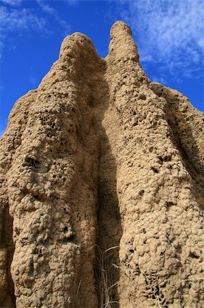 simsearch:400-05270904,k - Termite Mound - Kakadu National Park, Australia Foto de stock - Royalty-Free Super Valor e Assinatura, Número: 400-05292763