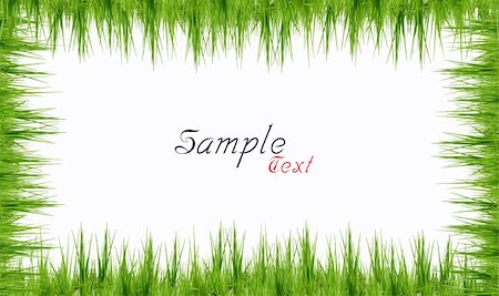 simsearch:400-04869731,k - Fresh spring green grass on white background Foto de stock - Royalty-Free Super Valor e Assinatura, Número: 400-05292848