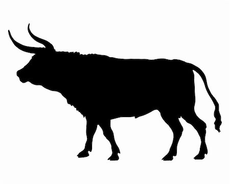 Silhouette of a bull Stock Photo - Budget Royalty-Free & Subscription, Code: 400-05292879