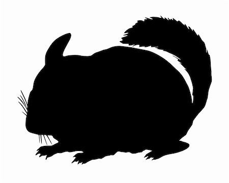 Chinchilla Silhouette Stock Photo - Budget Royalty-Free & Subscription, Code: 400-05292871