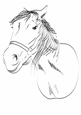 simsearch:400-07316355,k - head of a horse freehand vector Stock Photo - Budget Royalty-Free & Subscription, Code: 400-05293458