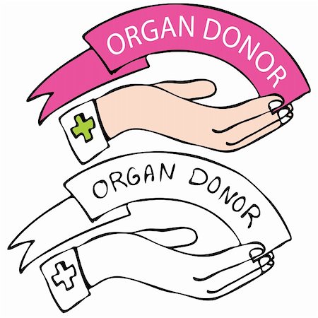 simsearch:400-04849381,k - An image of a hand with organ donor banner. Foto de stock - Super Valor sin royalties y Suscripción, Código: 400-05293759