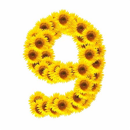 photographic flower font - flower alphabet and numbers with sunflowers isolated on white background Stock Photo - Budget Royalty-Free & Subscription, Code: 400-05293898