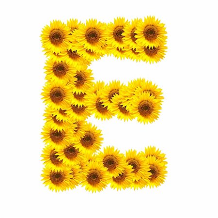 photographic flower font - flower alphabet and numbers with sunflowers isolated on white background Stock Photo - Budget Royalty-Free & Subscription, Code: 400-05293903
