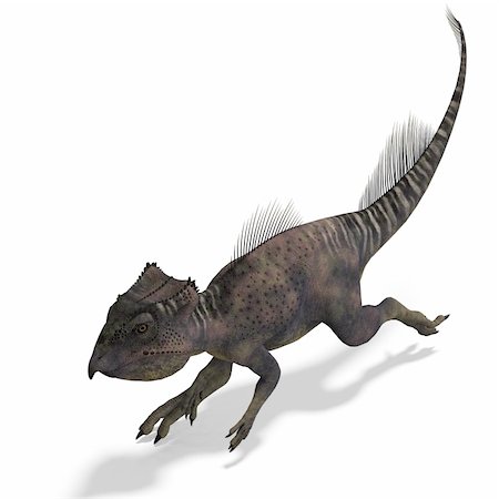 simsearch:400-04818670,k - Dinosaur Archaeoceratops. 3D rendering with clipping path and shadow over white Foto de stock - Royalty-Free Super Valor e Assinatura, Número: 400-05304061