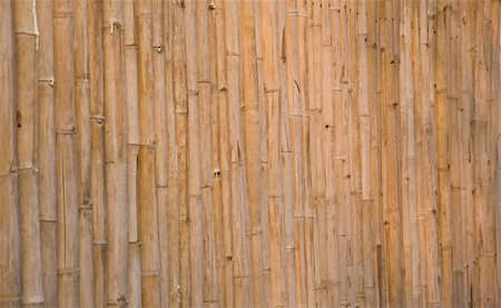 Bamboo wall of the house Stock Photo - Budget Royalty-Free & Subscription, Code: 400-05304428