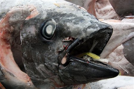 Fish Heads - Tsukiji Fish Market, Tokyo, Japan Stockbilder - Microstock & Abonnement, Bildnummer: 400-05304969