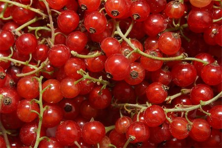 simsearch:400-04423672,k - Background with the clusters of ripe red currant Stockbilder - Microstock & Abonnement, Bildnummer: 400-05305538
