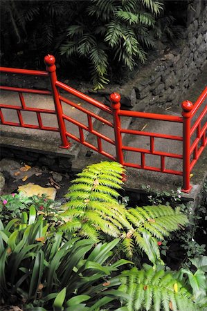 funchal - Monte Palace Tropical Garden - Monte, Madeira Foto de stock - Super Valor sin royalties y Suscripción, Código: 400-05306014