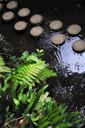 simsearch:841-03672701,k - Monte Palace Tropical Garden - Monte, Madeira Photographie de stock - Aubaine LD & Abonnement, Code: 400-05306013