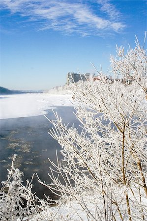 simsearch:400-05306863,k - Winter scenic frozen branches on riverbank Fotografie stock - Microstock e Abbonamento, Codice: 400-05306864