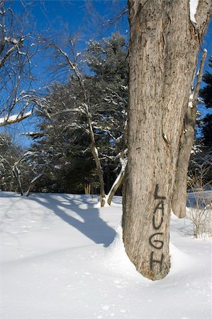 simsearch:400-05306863,k - Word LAUGH painted on tree Photographie de stock - Aubaine LD & Abonnement, Code: 400-05306868