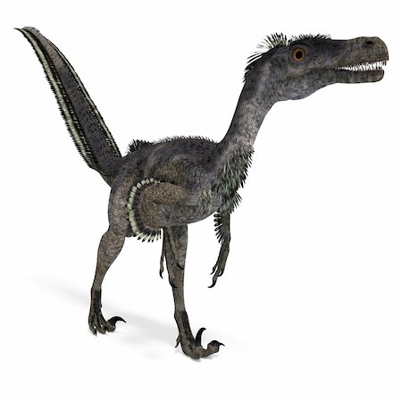 Dinosaur Velociraptor. 3D rendering with clipping path and shadow over white Stock Photo - Budget Royalty-Free & Subscription, Code: 400-05307180