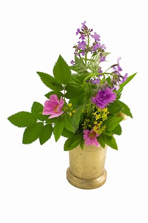 Old mortar and bouquet of herb on a white background close-up Stockbilder - Microstock & Abonnement, Bildnummer: 400-05307281