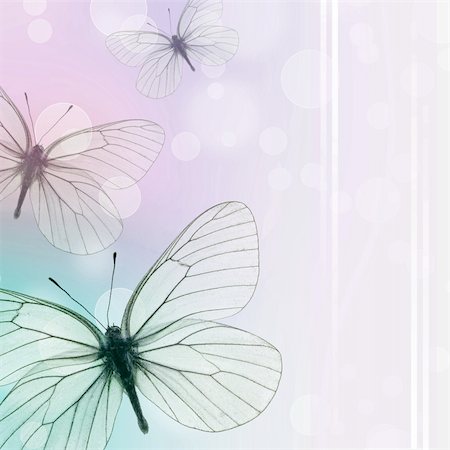 Beautiful  Background With Three Butterflies and bokeh Photographie de stock - Aubaine LD & Abonnement, Code: 400-05307536