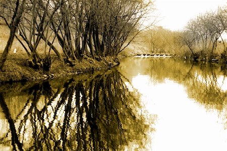 Trees during winter with reflection in the streams of water Stock Photo - Budget Royalty-Free & Subscription, Code: 400-05308817