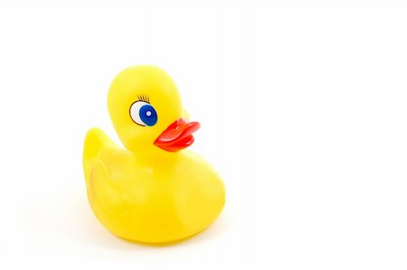 isolated toy rubber duck for playing in the bathroom Stock Photo - Budget Royalty-Free & Subscription, Code: 400-05308955
