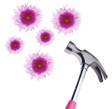 eco friendly home - Green Building Concept with Hammer and Pink Flowers Isolated on White with a Clipping Path. Photographie de stock - Aubaine LD & Abonnement, Code: 400-05309068