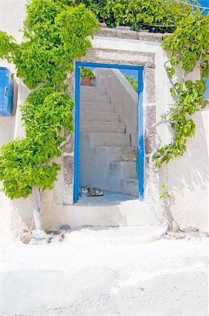 Unique Santorini architecture, beautiful buildings and green tree Stock Photo - Budget Royalty-Free & Subscription, Code: 400-05309121