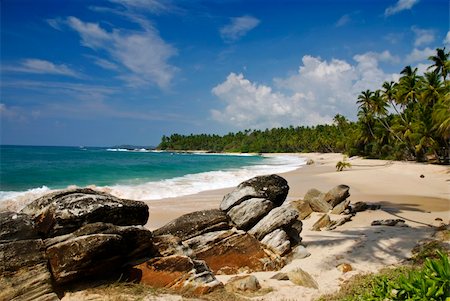simsearch:400-04202887,k - Tropical paradise on Sri Lanka with palms hanging over the white and red beach, turquoise sea and boulders in the front Stock Photo - Budget Royalty-Free & Subscription, Code: 400-05309159