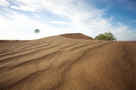 simsearch:400-04231678,k - Sahara desert close to Merzouga in Morocco with blue sky and clouds Photographie de stock - Aubaine LD & Abonnement, Code: 400-05309472