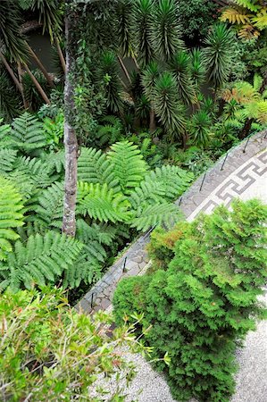 Monte Palace Tropical Garden? Monte, Madeira Stock Photo - Budget Royalty-Free & Subscription, Code: 400-05309520