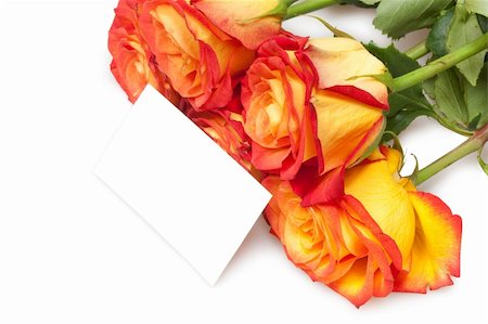 simsearch:400-06522703,k - roses isolated on white with card Fotografie stock - Microstock e Abbonamento, Codice: 400-05309544