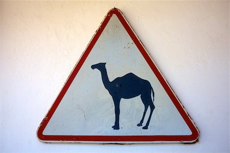 road signs in morocco - Camel crossing sign on white background Foto de stock - Super Valor sin royalties y Suscripción, Código: 400-05309620