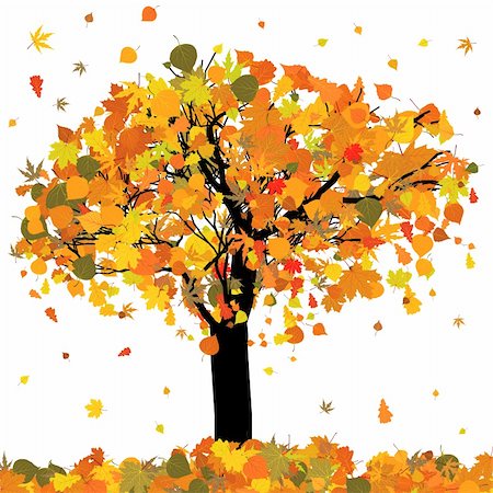 Beautiful autumn tree for your design. EPS 8 vector file included Stock Photo - Budget Royalty-Free & Subscription, Code: 400-05309962