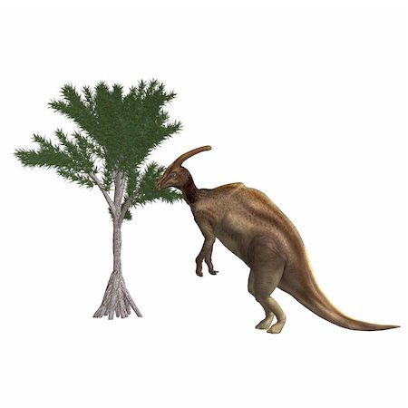 simsearch:400-04818670,k - Dinosaur Parasaurolophus. 3D rendering with clipping path and shadow over white Foto de stock - Royalty-Free Super Valor e Assinatura, Número: 400-05300222
