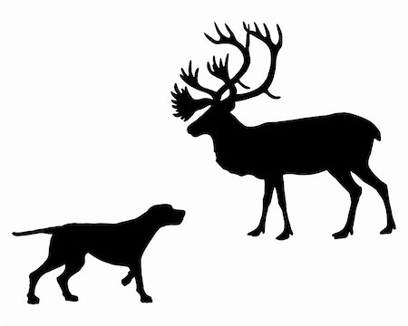 deer and hunter - Two animals, setter and caribou meet face to face Photographie de stock - Aubaine LD & Abonnement, Code: 400-05300326