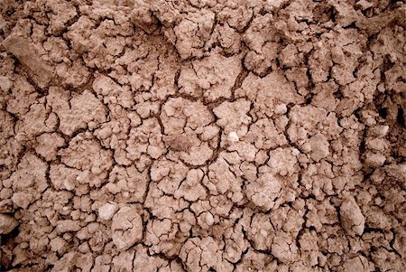 simsearch:400-04304444,k - Dry cracked earth. Photo Stock Photo - Budget Royalty-Free & Subscription, Code: 400-05300546