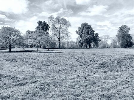 Hyde Park - Kensington Gardens in London, UK - high dynamic range HDR - black and white Photographie de stock - Aubaine LD & Abonnement, Code: 400-05300859