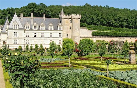 garden in  villandry, france Stock Photo - Budget Royalty-Free & Subscription, Code: 400-05301224