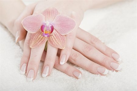 simsearch:400-06061806,k - beautiful hands with french manicure Stock Photo - Budget Royalty-Free & Subscription, Code: 400-05301668
