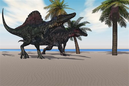 simsearch:400-04236748,k - Two Spinosaurus dinosaurs amble down a beach looking for food. Foto de stock - Super Valor sin royalties y Suscripción, Código: 400-05301743