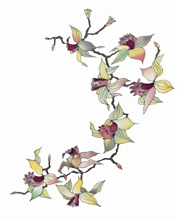 simsearch:400-04776678,k - Image of my artwork with a orchid branch isolated on white background Stock Photo - Budget Royalty-Free & Subscription, Code: 400-05302093