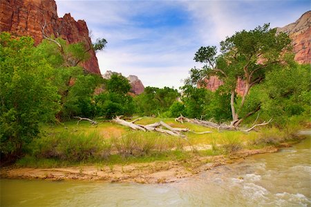 Beautiful view of the Virgin River in Zion National Park Stock Photo - Budget Royalty-Free & Subscription, Code: 400-05302427