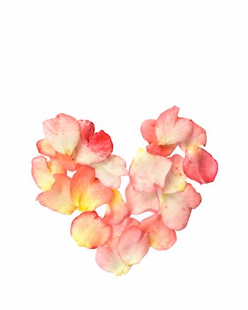 Real pink rose petals formed in the shape of a heart to express love. Good for Valentine's or anniversary. Isolated on white for easy removal. Photographie de stock - Aubaine LD & Abonnement, Code: 400-05302950