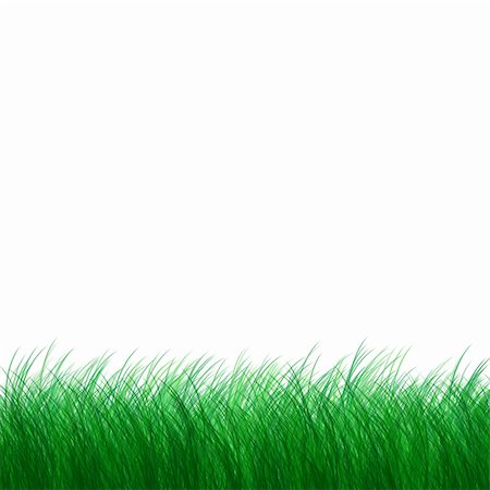 Green grass on a lawn on a white background Stock Photo - Budget Royalty-Free & Subscription, Code: 400-05314492