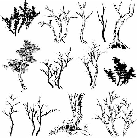 tree drawing design Stock Photo - Budget Royalty-Free & Subscription, Code: 400-05314611