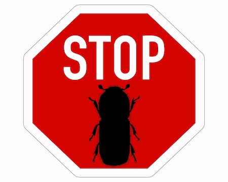 spruce tree bark - Bark-beetle stop sign Stock Photo - Budget Royalty-Free & Subscription, Code: 400-05314908