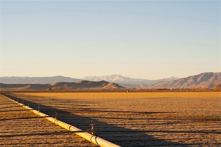 strotter13 (artist) - A beautiful field during golden hour.  The field looks as if it is radiating gold. Photographie de stock - Aubaine LD & Abonnement, Code: 400-05314995