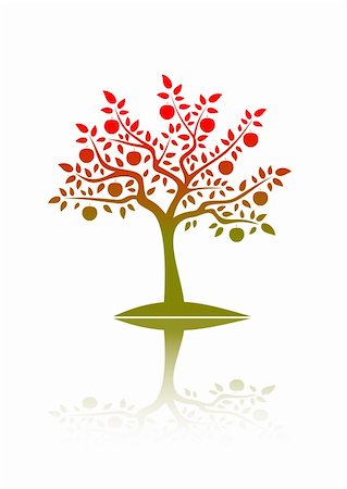 fruit tree silhouette - vector apple tree with reflection on white background, Adobe Illustrator 8 format Stock Photo - Budget Royalty-Free & Subscription, Code: 400-05315285