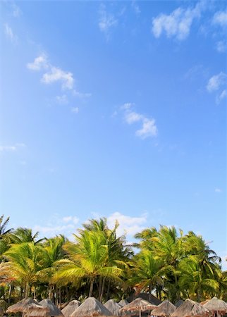 simsearch:400-05149606,k - Mayan riviera Playa del Carmen tropical palapa palm trees blue sky Foto de stock - Royalty-Free Super Valor e Assinatura, Número: 400-05316111