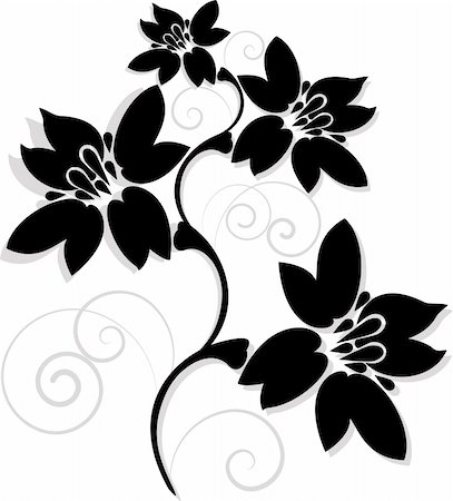 vector illustration flowers in black and white Foto de stock - Royalty-Free Super Valor e Assinatura, Número: 400-05316724